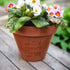 If ... Were Flowers Plant Pot